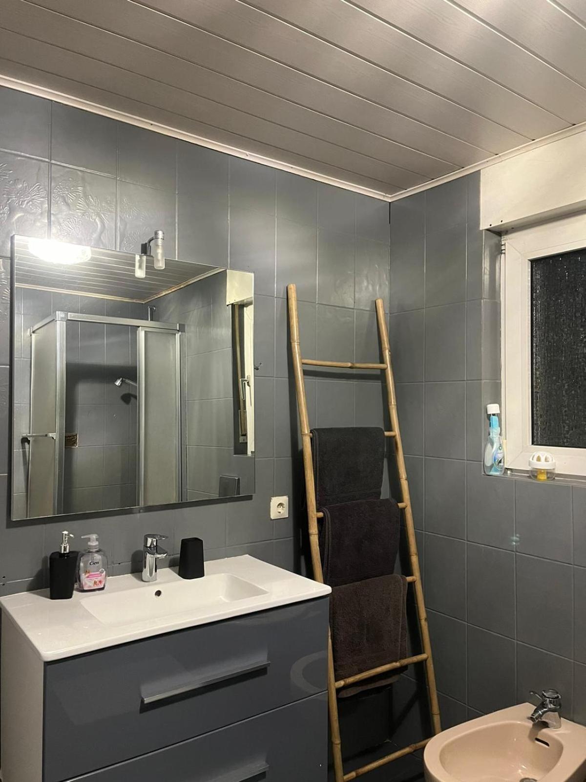 Appartement Avec Jacuzzi Et Jardin Kehl Екстер'єр фото