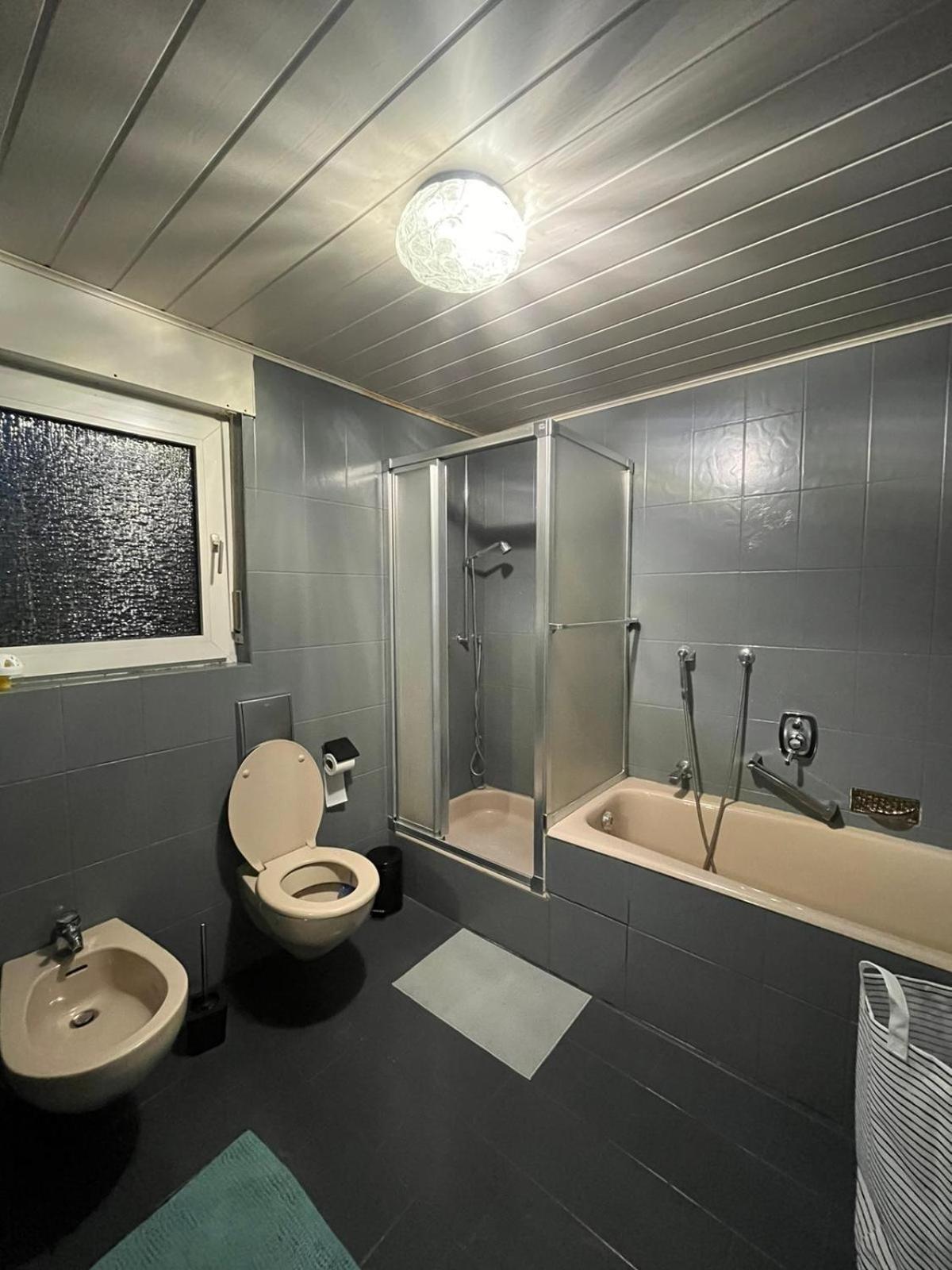 Appartement Avec Jacuzzi Et Jardin Kehl Екстер'єр фото